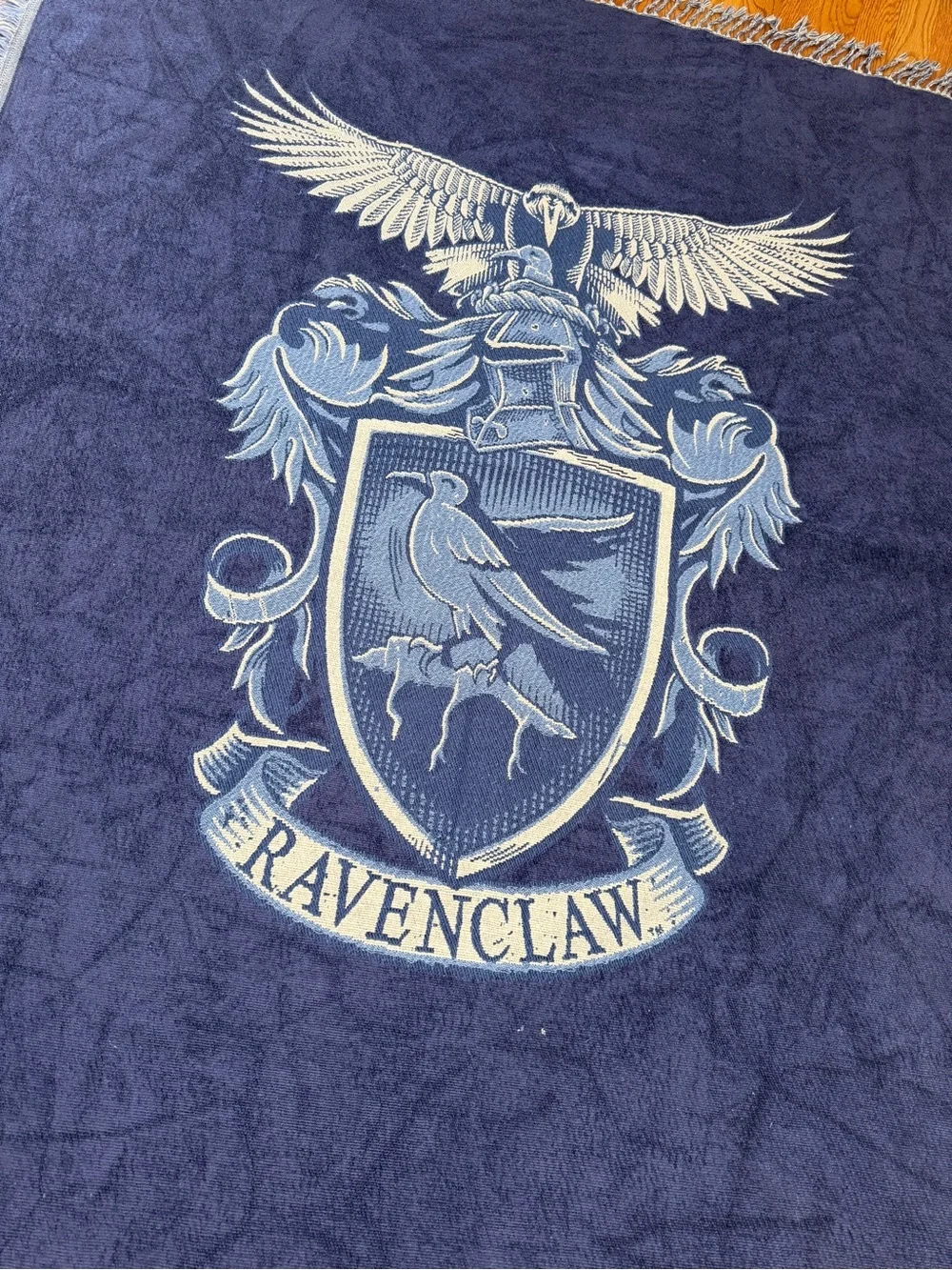 PBTeen Ravenclaw Harry Potter Chenille Throw Blanket - House Crest, 50x60
